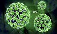 وبینار «نگرشی به ویروس پاپیلومای انسانی (HPV): پاتوژنز ، غربالگری ، تشخیص و درمان» در دانشگاه علوم پزشکی گیلان برگزار می شود