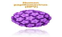 کنفرانس علمی یکروزه «باروری و HPV با رویکرد جوانی جمعیت» در دانشگاه علوم پزشکی گیلان برگزار شد