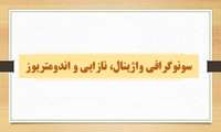 کارگاه «سونوگرافی واژینال، نازایی و اندومتریوز» در دانشگاه علوم پزشکی گیلان برگزار می شود
