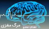 کنفرانس علمی یک روزه «آشنایی با مرگ مغزی و فرآیند اهداء عضو» در دانشگاه علوم پزشکی گیلان برگزار شد