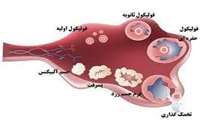 کنفرانس علمی یکروزه «تحریک کنترل شده تخمک گذاری در سیکل های کمک باروری» در دانشگاه علوم پزشکی گیلان برگزار شد