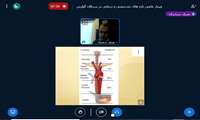 وبینار «تازه های تشخیصی و درمانی در سرطان گوارش» در دانشگاه علوم پزشکی گیلان برگزار شد.