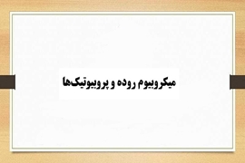 کنفرانس علمی میکروبیوم روده و پروبیوتیک‌ها: از علم تا کاربرد بالینی در گوارش، متابولیسم و بیماری های قلبی در دانشگاه علوم پزشکی گیلان برگزار می شود